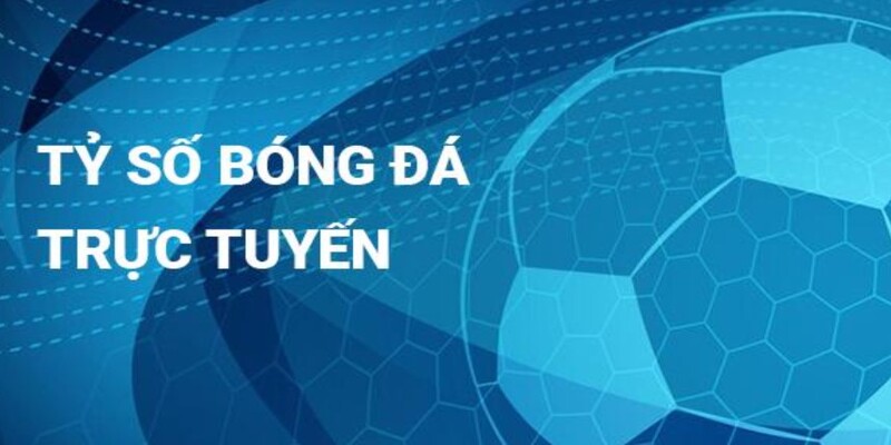 Một số giải đấu thú vị tại livescore bóng đá OK9