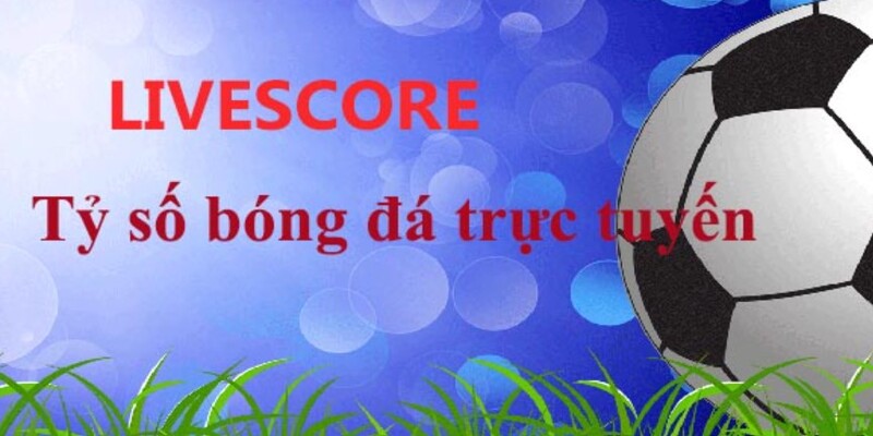 Livescore bóng đá được nhiều người quan tâm