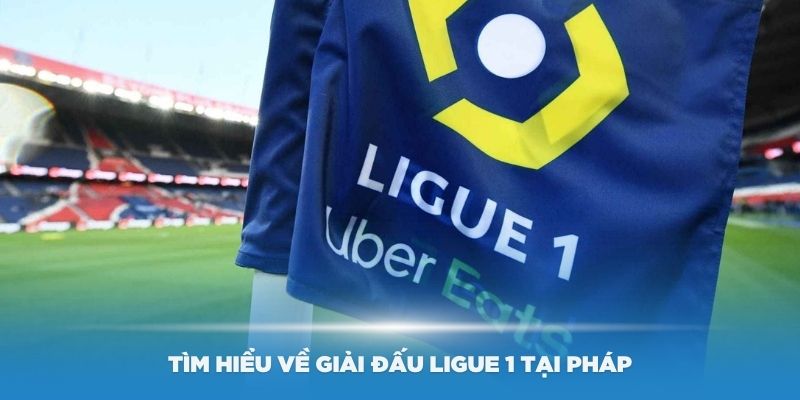 Tìm hiểu về giải đấu Ligue 1 tại Pháp